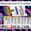 Pilules Anaconda Xl Où Acheter 11